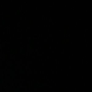 Meet your Posher, Jose